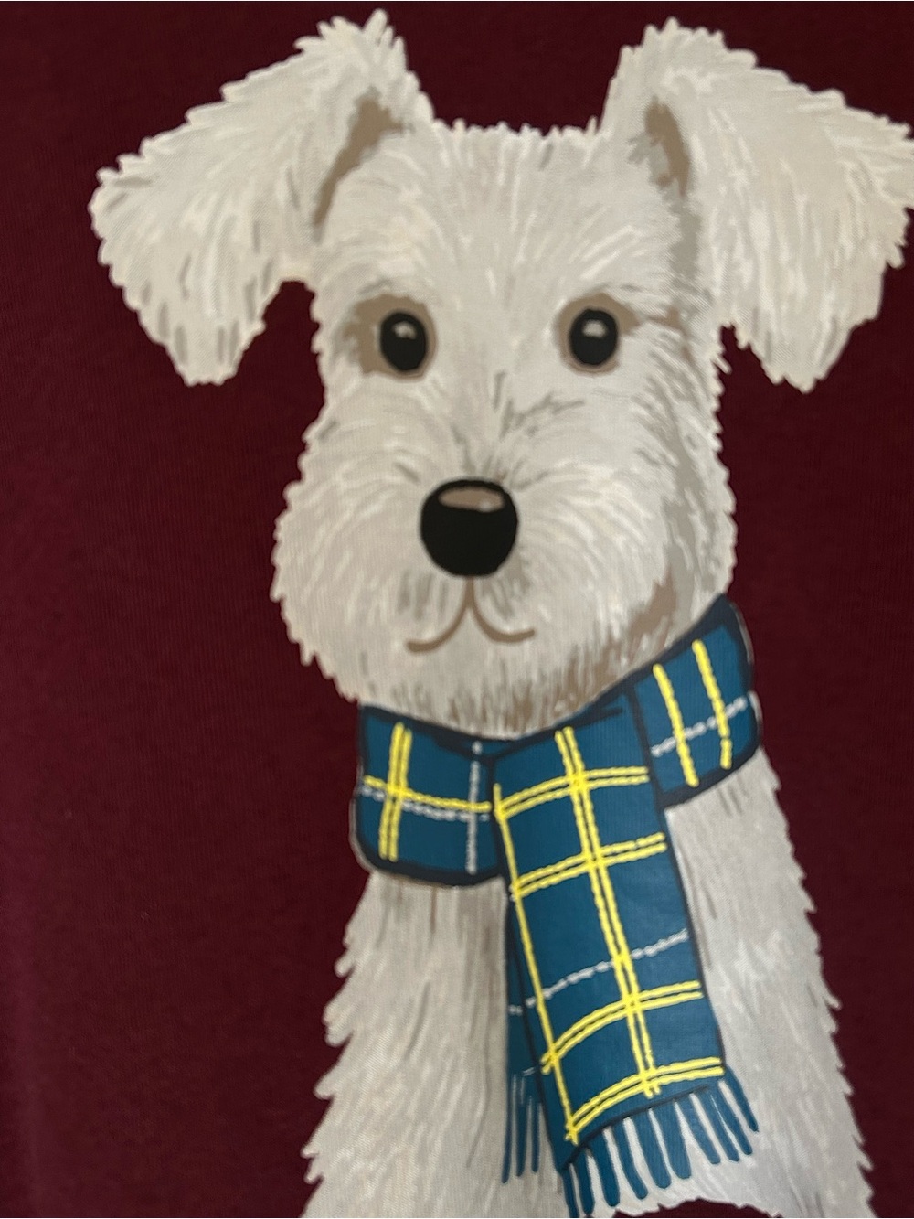 Zoe + Liv dog with scarf sweatshirt new small